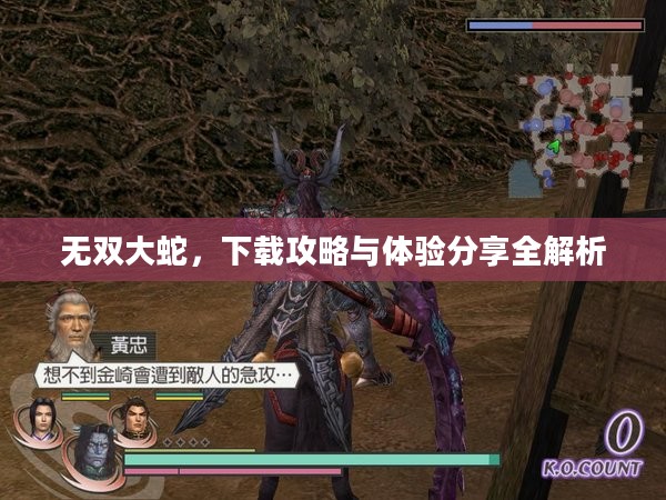 无双大蛇，下载攻略与体验分享全解析