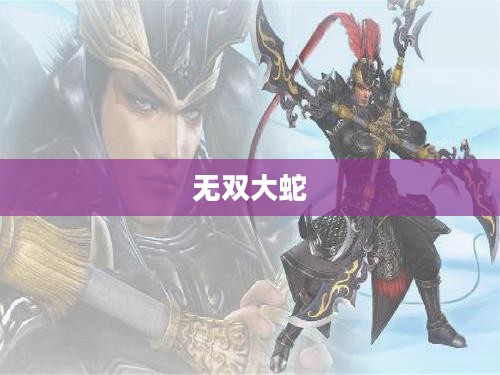 无双大蛇,下载攻略与体验分享全解析 无双大蛇,下载攻略与体验分享全解析