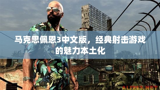 马克思佩恩3中文版，经典射击游戏的魅力本土化