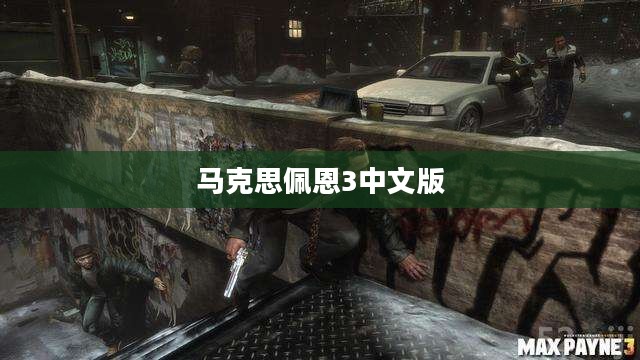 马克思佩恩3中文版,经典射击游戏的魅力本土化 马克思佩恩3中文版,经典射击游戏的魅力本土化