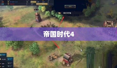 帝国时代4官方下载攻略