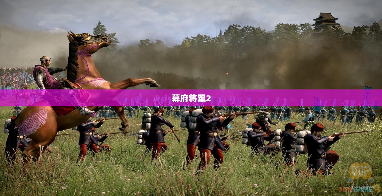 幕府将军2，武家之殇的辉煌与哀愁