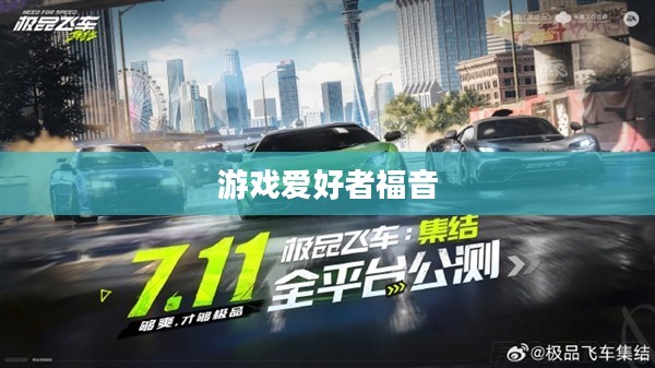 极品飞车8中文补丁，游戏爱好者的福音选择