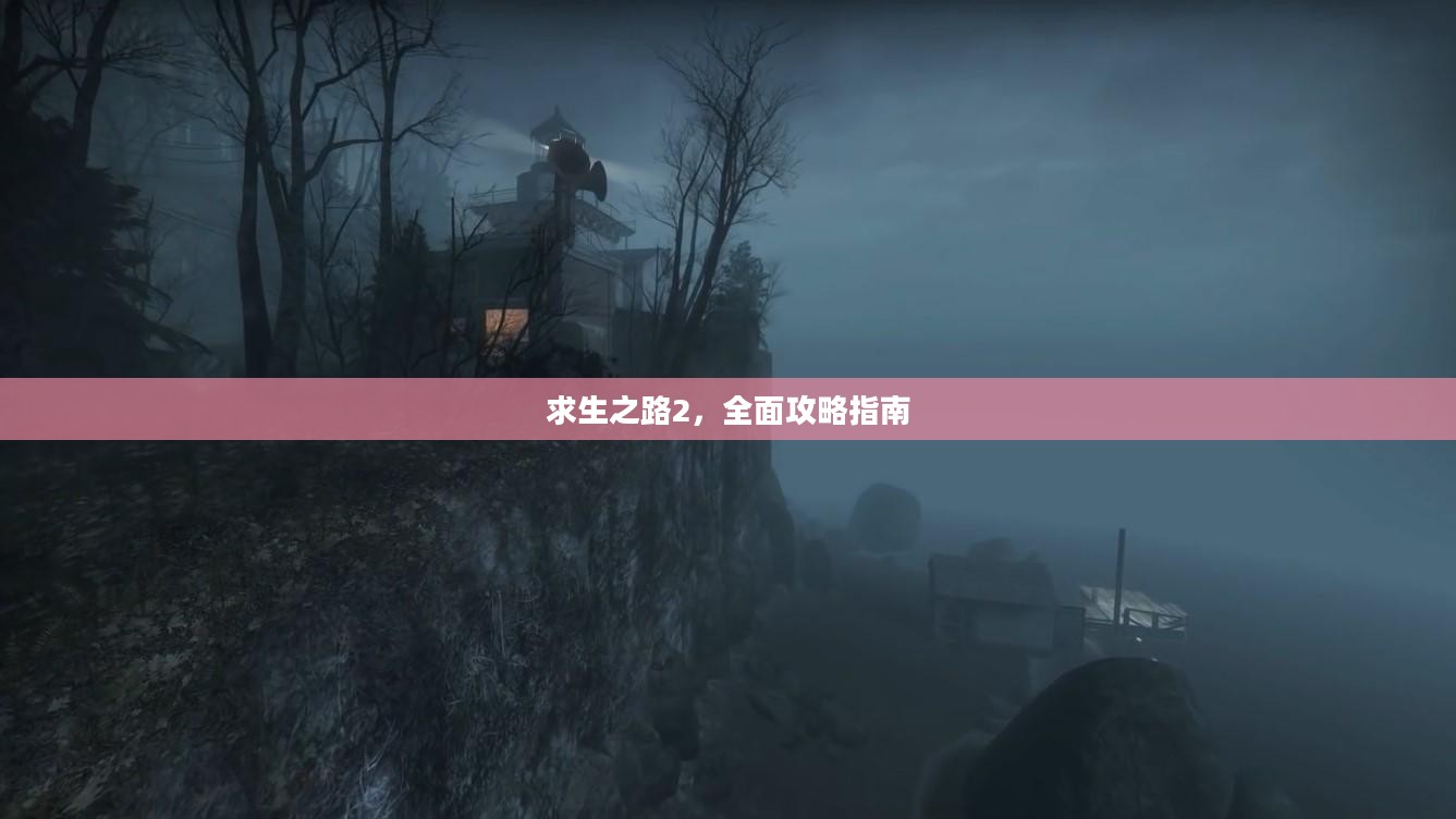 求生之路2，全面攻略指南
