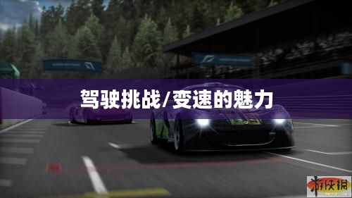 极品飞车13，变速的魅力与驾驶挑战