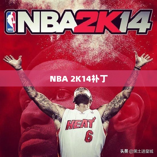 NBA 2K14补丁，提升游戏体验的关键要素