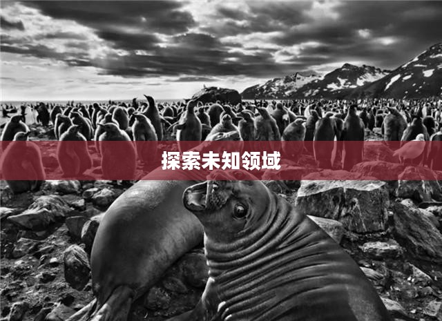 荒野星球,探索未知领域之旅 荒野星球,探索未知领域之旅