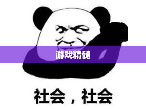 侠盗飞车攻略秘籍，轻松掌握游戏精髓，玩转城市风云霸主之路