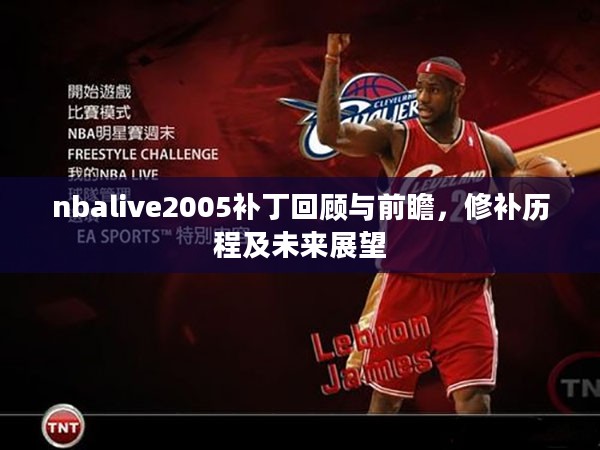 nbalive2005补丁回顾与前瞻，修补历程及未来展望