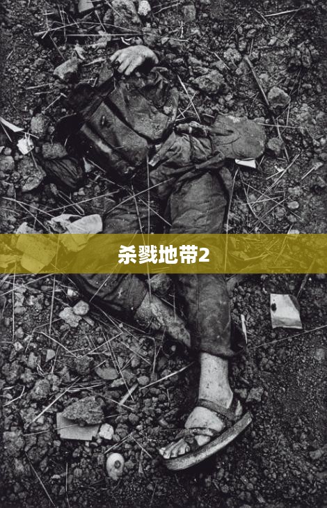 杀戮地带2，战争与生存的交织挑战