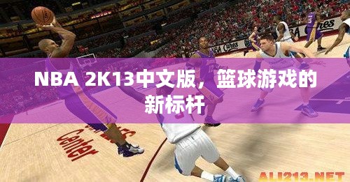 NBA 2K13中文版,篮球游戏的新标杆 NBA 2K13中文版,篮球游戏的新标杆