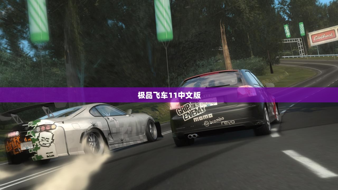 极品飞车11中文版，速度与激情的极致融合
