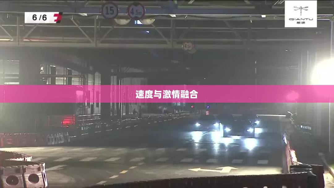 F1 2011游戏，速度与激情的极致融合