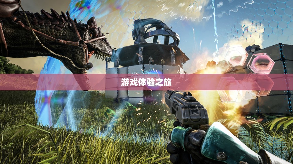 尘埃3，深度游戏体验之旅