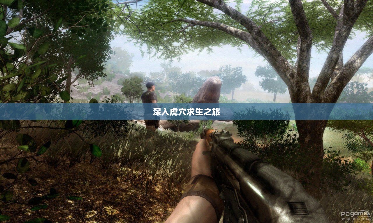 孤岛惊魂2，深入虎穴求生之旅全攻略详解