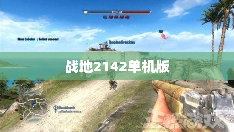 战地2142单机版，深入游戏探索与体验