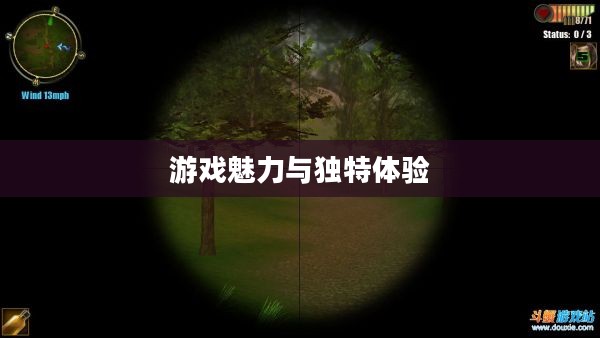 无限打猎2011中文版，游戏魅力与独特体验分享