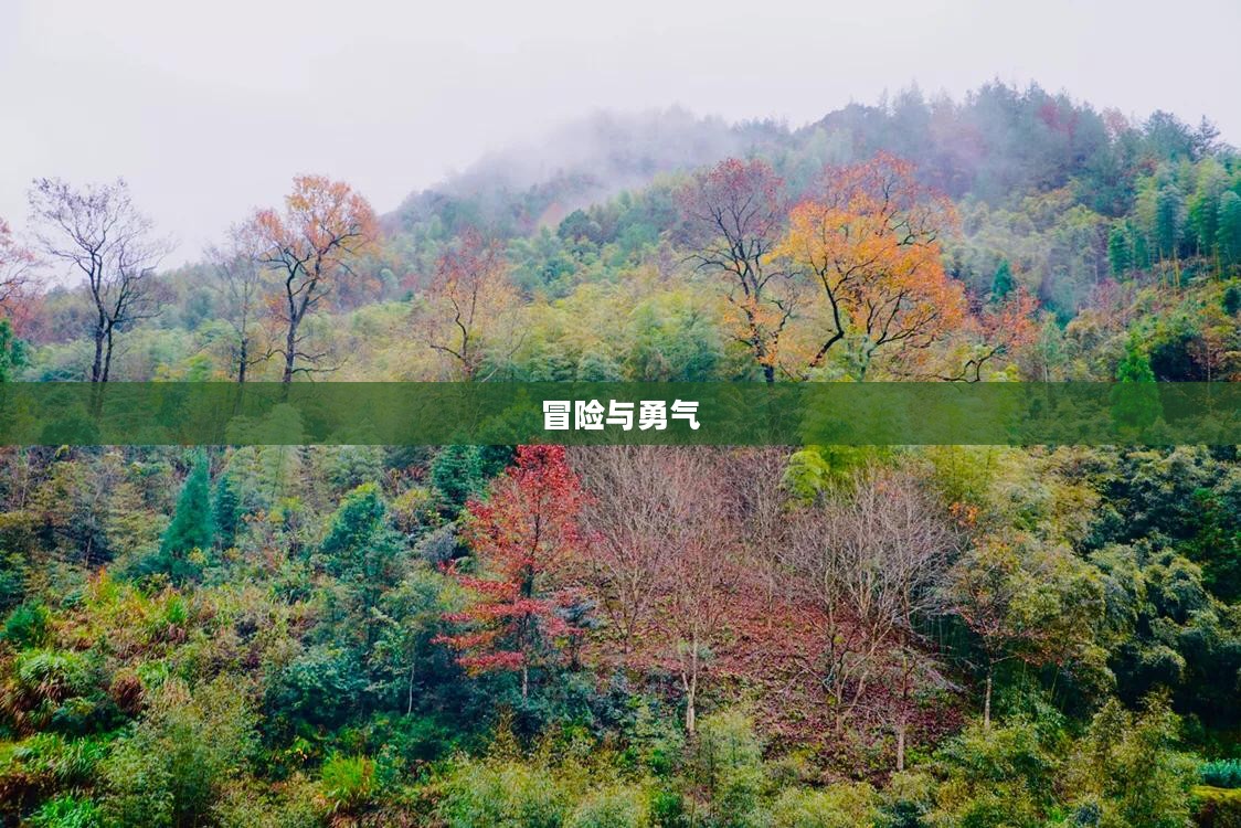 雨中冒险2，冒险与勇气的交响乐章