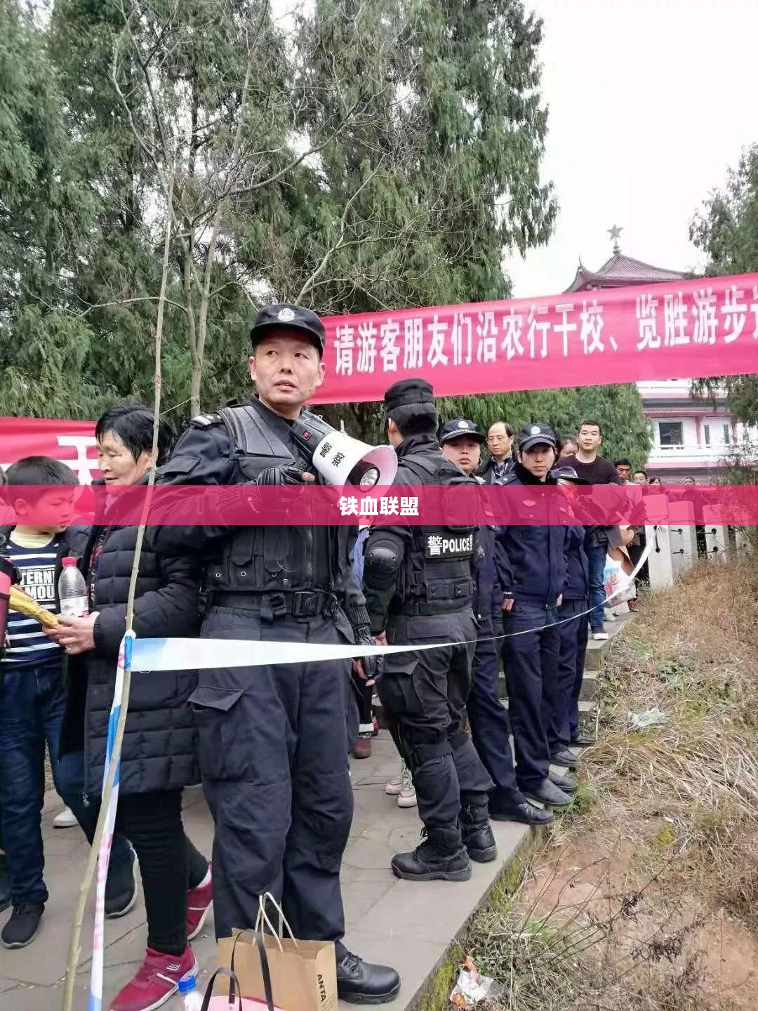 铁血联盟，荣耀使命的传奇之旅