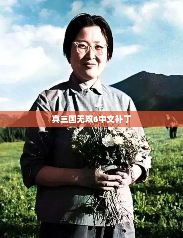 真三国无双6中文补丁，游戏爱好者的福音