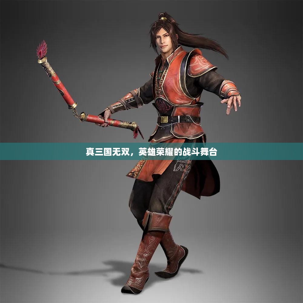 真三国无双，英雄荣耀的战斗舞台