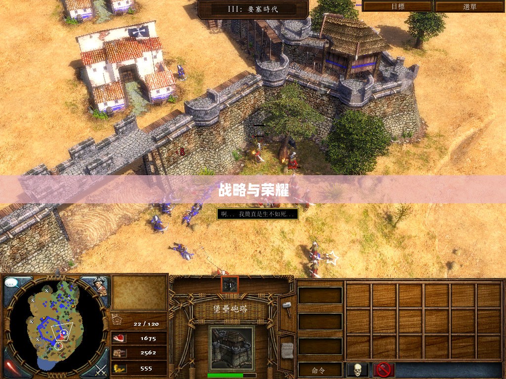 帝国时代3酋长版，战略与荣耀的传奇之旅