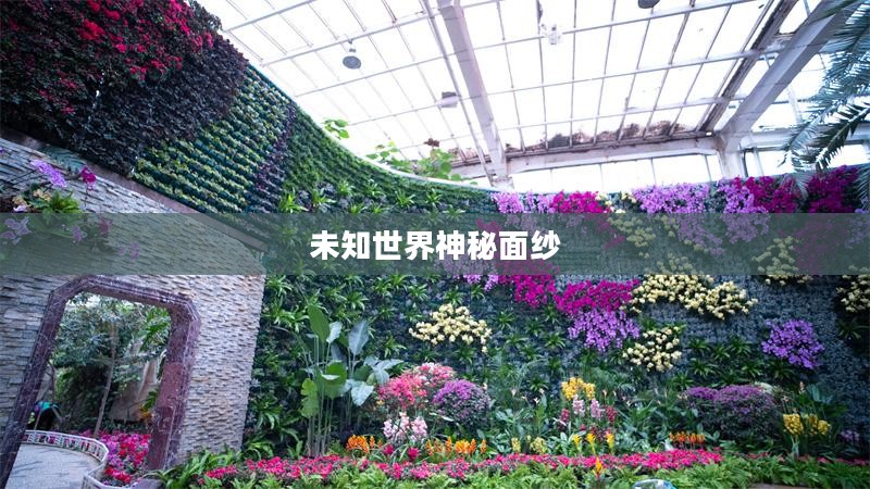 龙腾世纪探索指南，揭开未知世界的神秘面纱