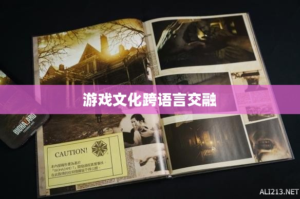 生化危机5汉化，游戏文化的跨语言交融之旅