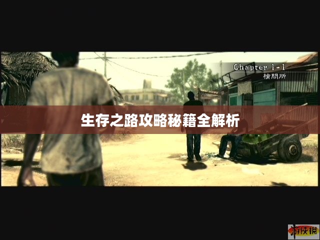 生化危机5，生存之路攻略秘籍全解析