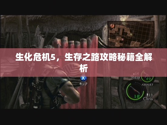 生化危机5,生存之路攻略秘籍全解析 生化危机5,生存之路攻略秘籍全解析