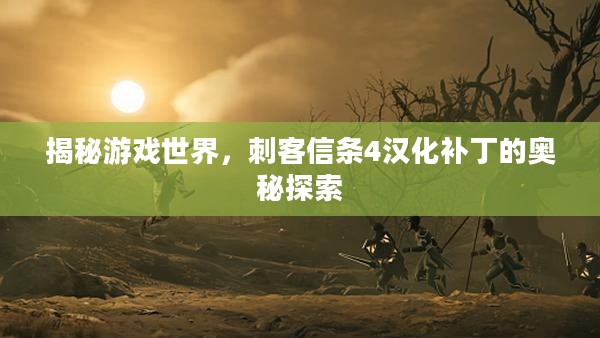 揭秘游戏世界，刺客信条4汉化补丁的奥秘探索