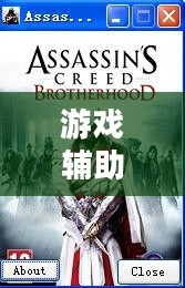 刺客信条兄弟会修改器,游戏辅助的新境界与独特体验 刺客信条兄弟会修改器,游戏辅助的新境界与独特体验