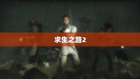 求生之路2，生存挑战策略解析与图文攻略