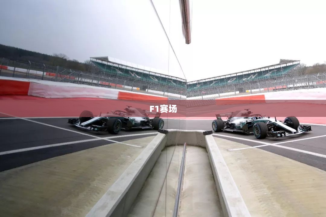 2010年F1赛场,速度与激情的极致盛宴 2010年F1赛场,速度与激情的极致盛宴