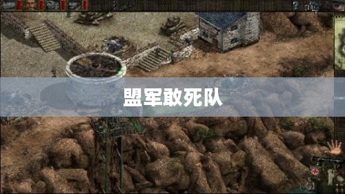 盟军敢死队，使命召唤行动