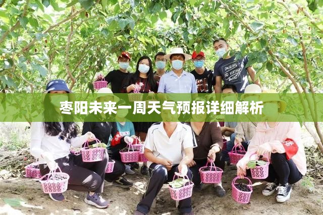 枣阳未来一周天气预报详细解析
