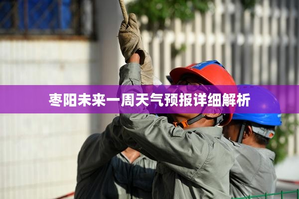 枣阳未来一周天气预报详细解析