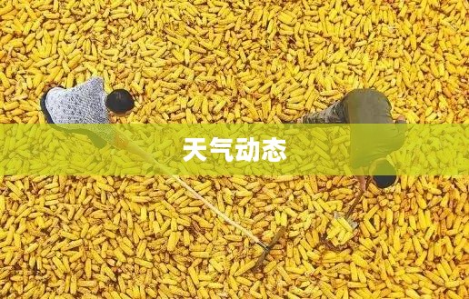 阜新天气预报实时查询，掌握天气动态，享受从容生活