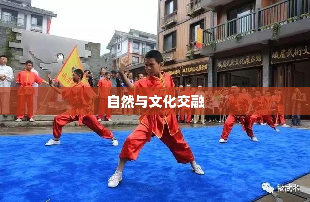 峨眉山景区，自然与文化之绝美交融的壮丽画卷
