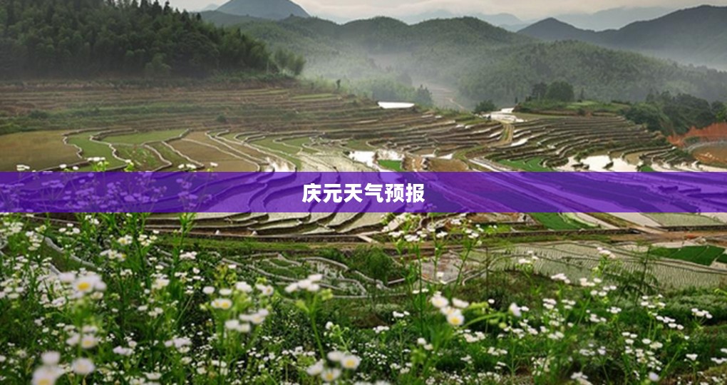 庆元天气预报15天查询，洞悉天气变化，轻松安排出行