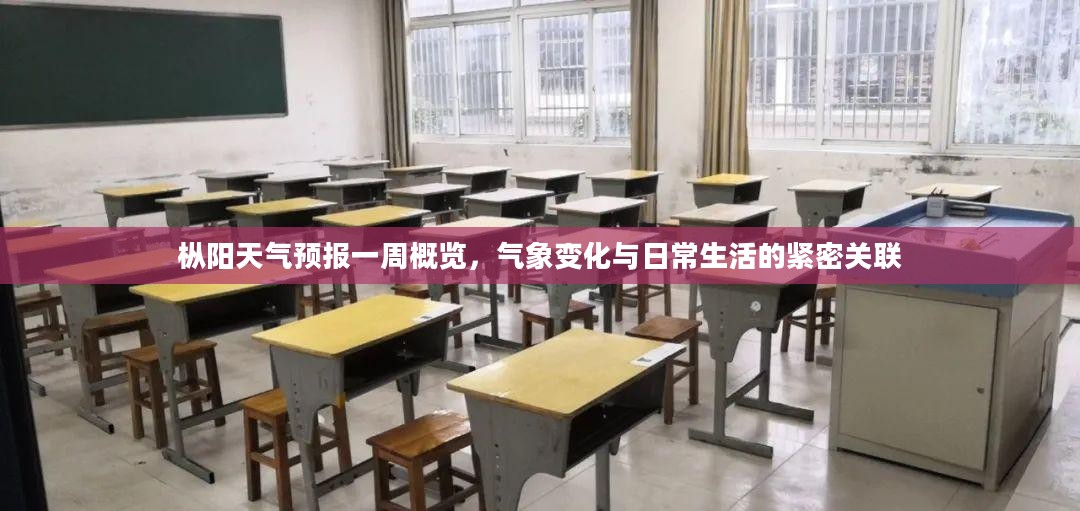 枞阳天气预报一周概览，气象变化与日常生活的紧密关联