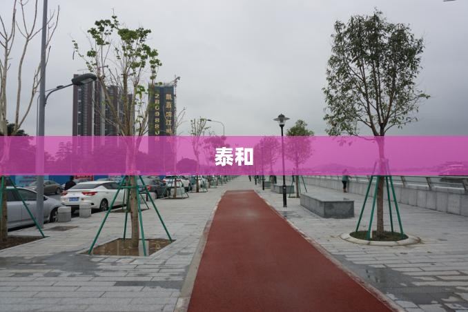 泰和,历史底蕴与现代魅力的融合之城 泰和,历史底蕴与现代魅力的融合之城