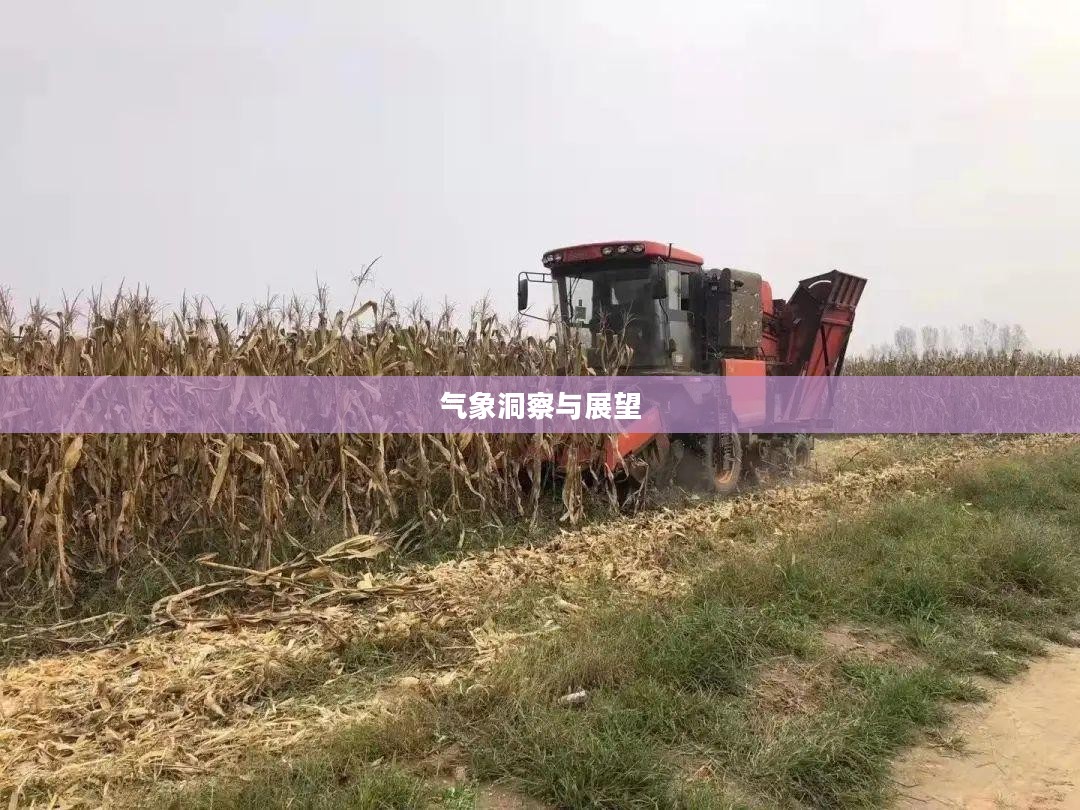 故城未来三十天天气预报，气象洞察与展望