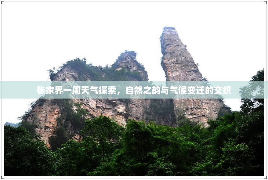 张家界一周天气探索，自然之韵与气候变迁的交织