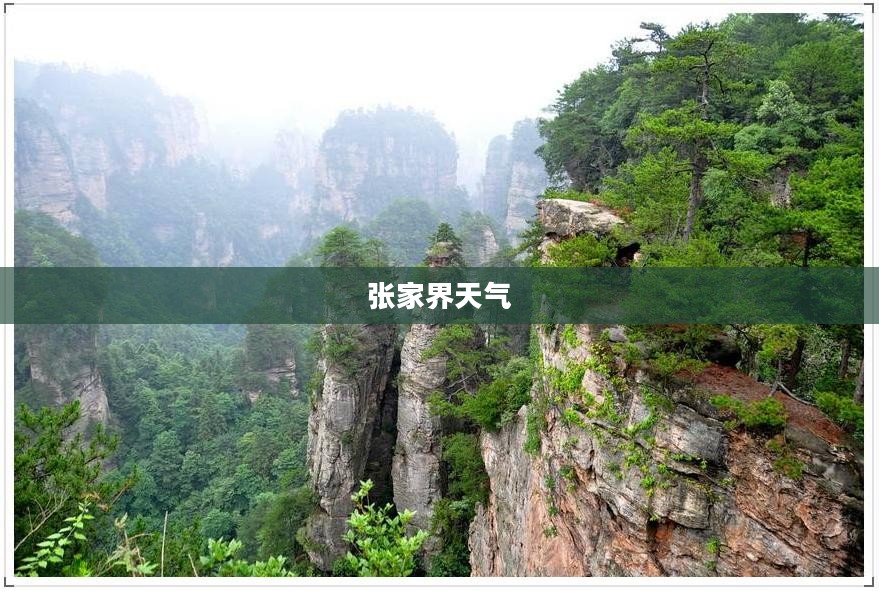 张家界一周天气探索,自然之韵与气候变迁的交织 张家界一周天气探索,自然之韵与气候变迁的交织