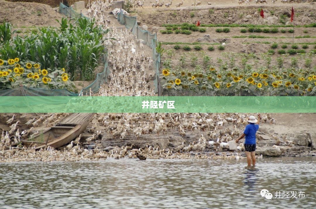 井陉矿区，历史与现代的交织之地