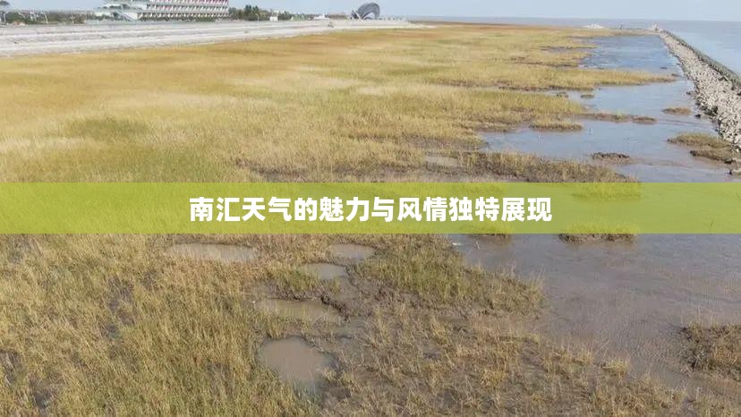 南汇天气的魅力与风情独特展现