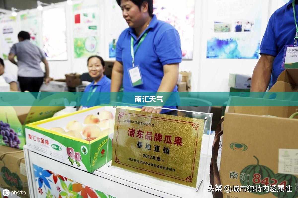 南汇天气的魅力与风情独特展现