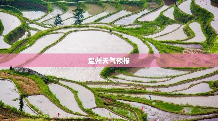 温州最近三十天天气预报详解