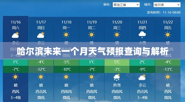 哈尔滨未来一个月天气预报查询与解析